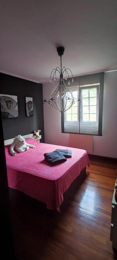 Nala House, Acogedor,Bien Comunicado,Aparcamiento Gratis En La Calle Bilbao Eksteriør billede