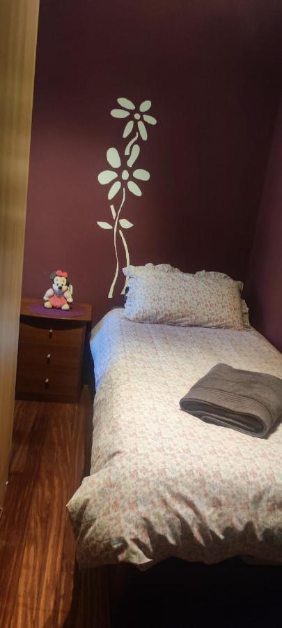 Nala House, Acogedor,Bien Comunicado,Aparcamiento Gratis En La Calle Bilbao Eksteriør billede